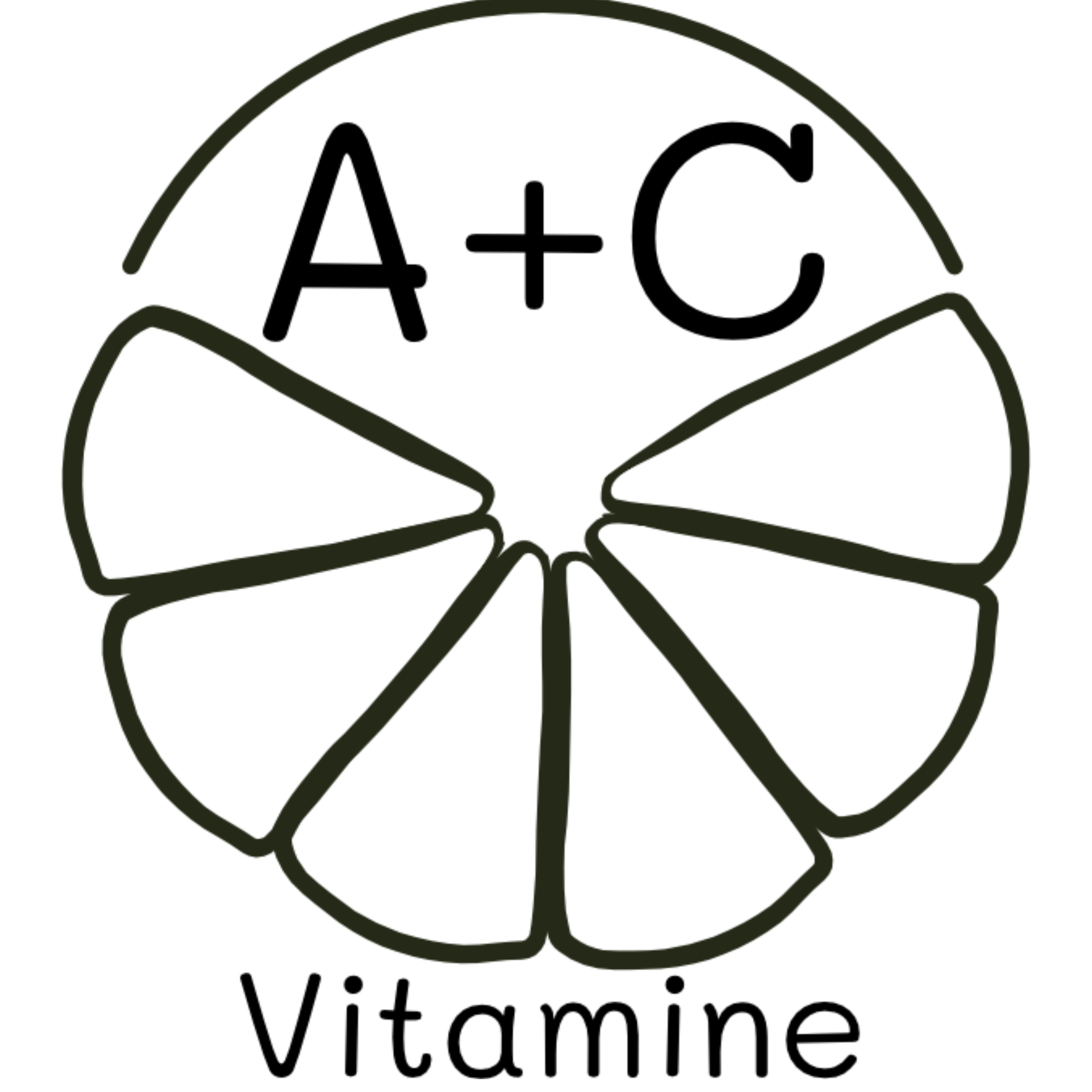 Immun Set mit Vitaminen